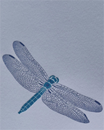 Freebird, Art Cards Freebird, Art Cards