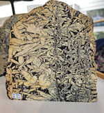 George Kohorst,Stone Carving